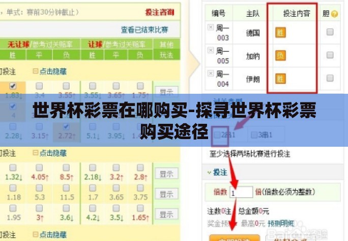 世界杯彩票在哪购买-探寻世界杯彩票购买途径 世界杯彩票在哪购买-探寻世界杯彩票购买途径