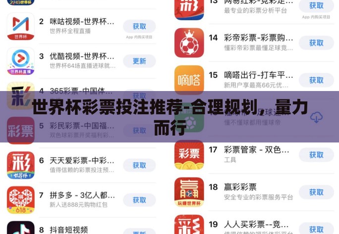 世界杯彩票投注推荐-合理规划，量力而行