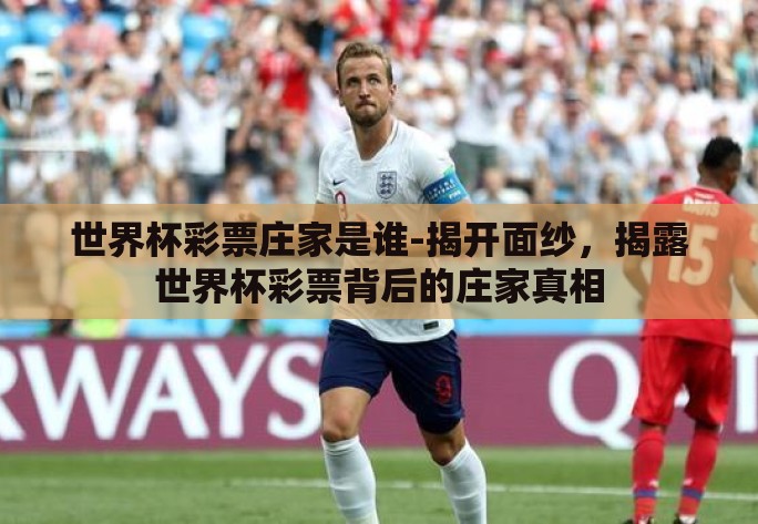 世界杯彩票庄家是谁-揭开面纱，揭露世界杯彩票背后的庄家真相