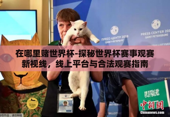 在哪里赌世界杯-探秘世界杯赛事观赛新视线，线上平台与合法观赛指南