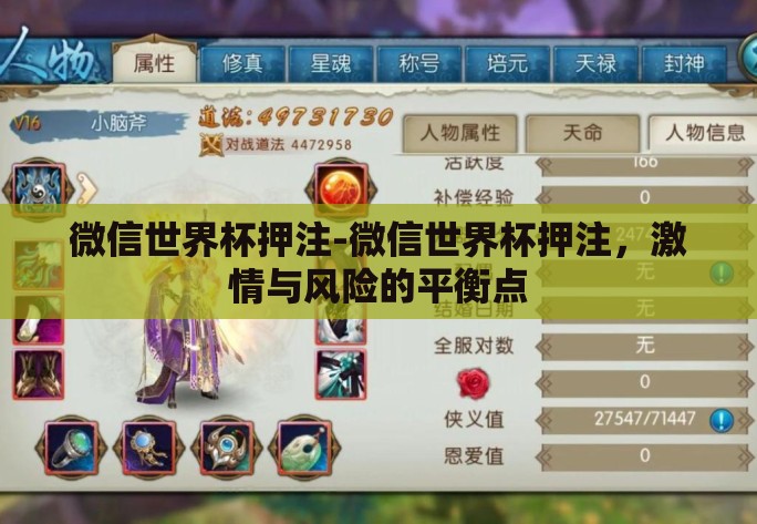 微信世界杯押注-微信世界杯押注,激情与风险的平衡点 微信世界杯押注-微信世界杯押注,激情与风险的平衡点