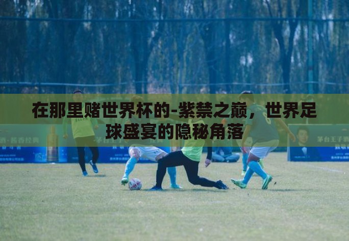在那里赌世界杯的-紫禁之巅，世界足球盛宴的隐秘角落