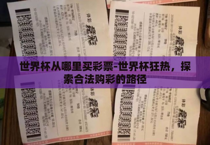世界杯从哪里买彩票-世界杯狂热,探索合法购彩的路径 世界杯从哪里买彩票-世界杯狂热,探索合法购彩的路径