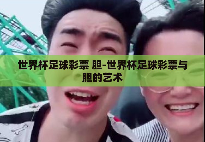 世界杯足球彩票 胆-世界杯足球彩票与胆的艺术