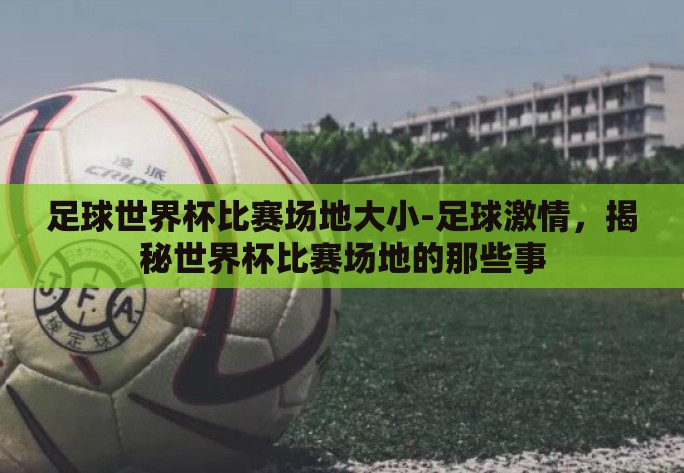 足球世界杯比赛场地大小-足球激情，揭秘世界杯比赛场地的那些事