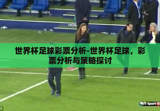 世界杯足球彩票分析-世界杯足球，彩票分析与策略探讨