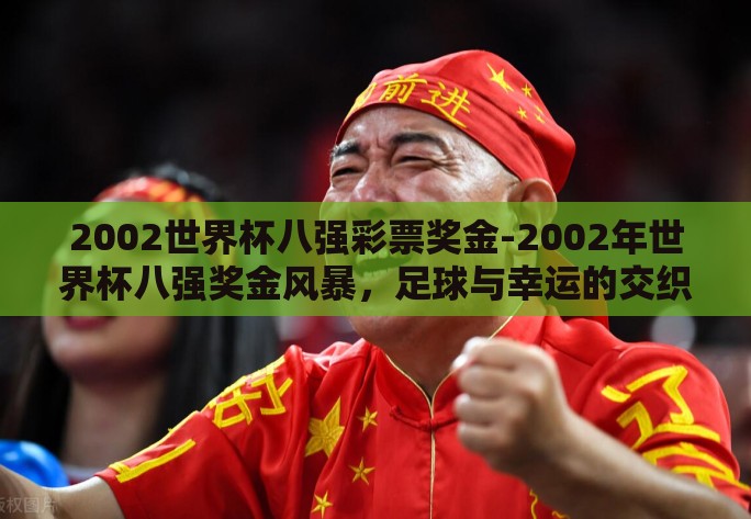 2002世界杯八强彩票奖金-2002年世界杯八强奖金风暴，足球与幸运的交织