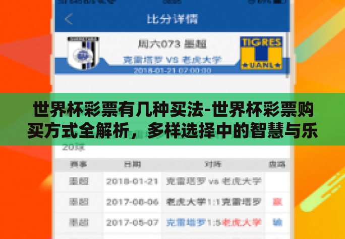 世界杯彩票有几种买法-世界杯彩票购买方式全解析，多样选择中的智慧与乐趣