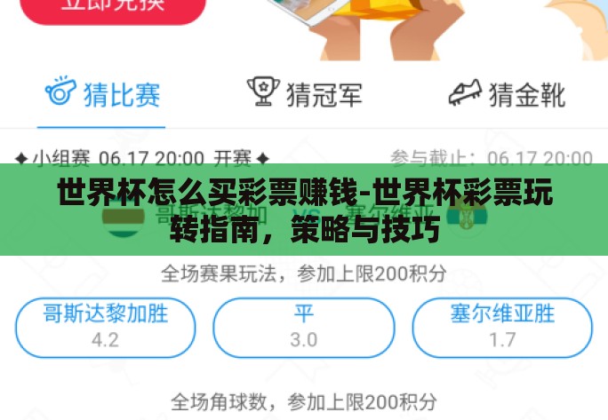 世界杯怎么买彩票赚钱-世界杯彩票玩转指南，策略与技巧