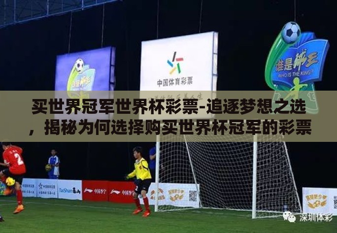 买世界冠军世界杯彩票-追逐梦想之选，揭秘为何选择购买世界杯冠军的彩票