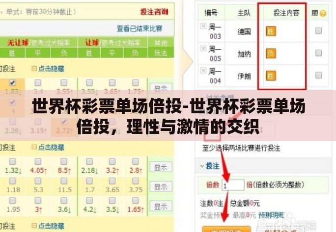 世界杯彩票单场倍投-世界杯彩票单场倍投，理性与激情的交织