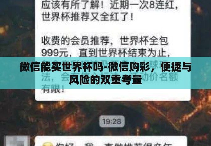 微信能买世界杯吗-微信购彩，便捷与风险的双重考量