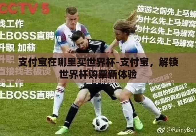 支付宝在哪里买世界杯-支付宝，解锁世界杯购票新体验