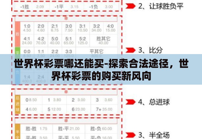 世界杯彩票哪还能买-探索合法途径，世界杯彩票的购买新风向