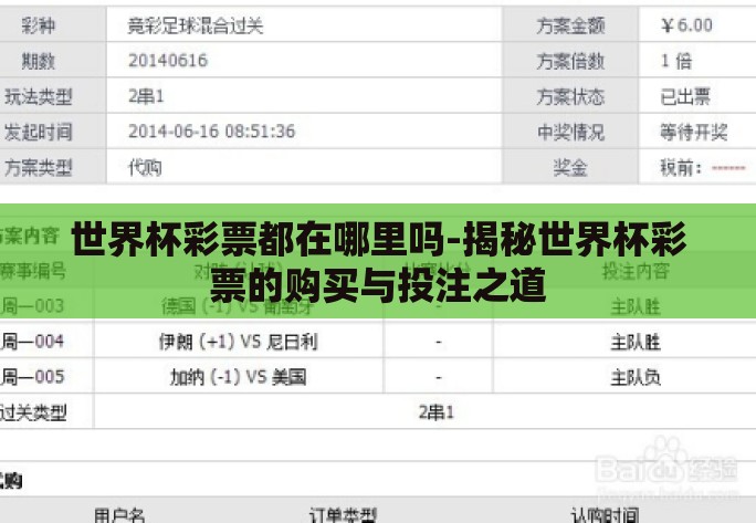 世界杯彩票都在哪里吗-揭秘世界杯彩票的购买与投注之道