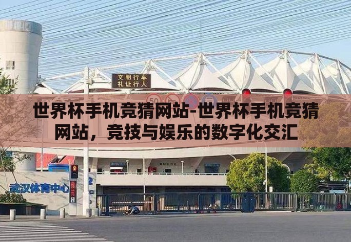 世界杯手机竞猜网站-世界杯手机竞猜网站，竞技与娱乐的数字化交汇