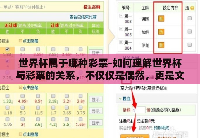 世界杯属于哪种彩票-如何理解世界杯与彩票的关系，不仅仅是偶然，更是文化的共鸣