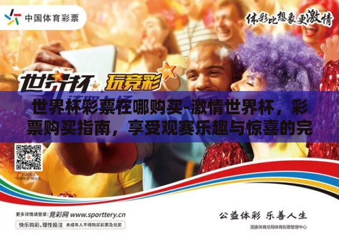世界杯彩票在哪购买-激情世界杯，彩票购买指南，享受观赛乐趣与惊喜的完美融合