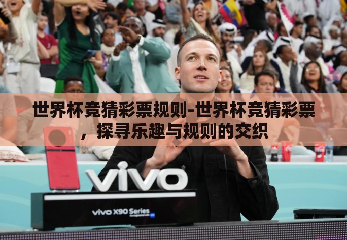 世界杯竞猜彩票规则-世界杯竞猜彩票，探寻乐趣与规则的交织