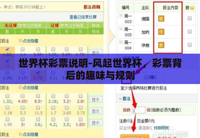 世界杯彩票说明-风起世界杯,彩票背后的趣味与规则 世界杯彩票说明-风起世界杯,彩票背后的趣味与规则