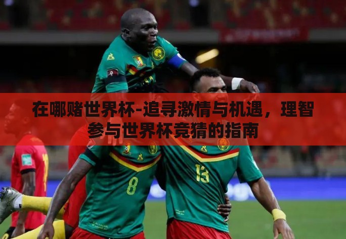 在哪赌世界杯-追寻激情与机遇，理智参与世界杯竞猜的指南