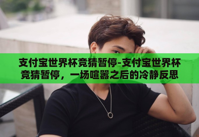 支付宝世界杯竞猜暂停-支付宝世界杯竞猜暂停，一场喧嚣之后的冷静反思