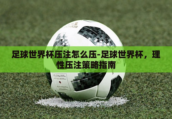 足球世界杯压注怎么压-足球世界杯，理性压注策略指南