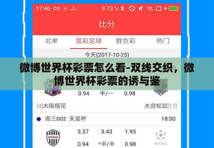 微博世界杯彩票怎么看-双线交织，微博世界杯彩票的诱与鉴