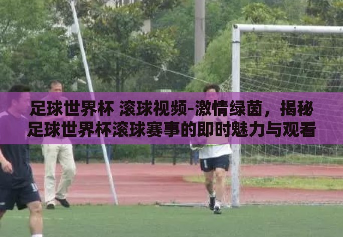 足球世界杯 滚球视频-激情绿茵，揭秘足球世界杯滚球赛事的即时魅力与观看艺术