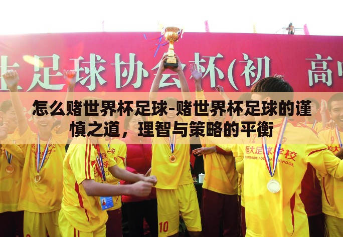 怎么赌世界杯足球-赌世界杯足球的谨慎之道，理智与策略的平衡