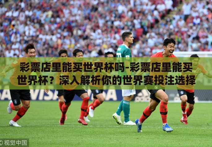 彩票店里能买世界杯吗-彩票店里能买世界杯？深入解析你的世界赛投注选择