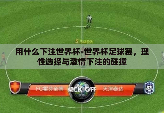 用什么下注世界杯-世界杯足球赛，理性选择与激情下注的碰撞