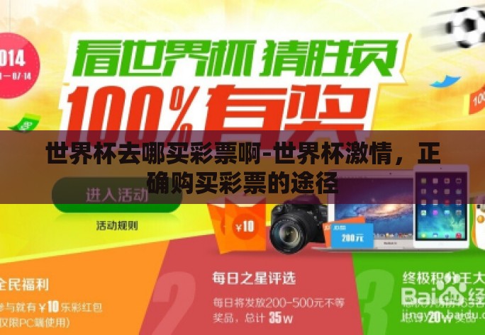 世界杯去哪买彩票啊-世界杯激情，正确购买彩票的途径