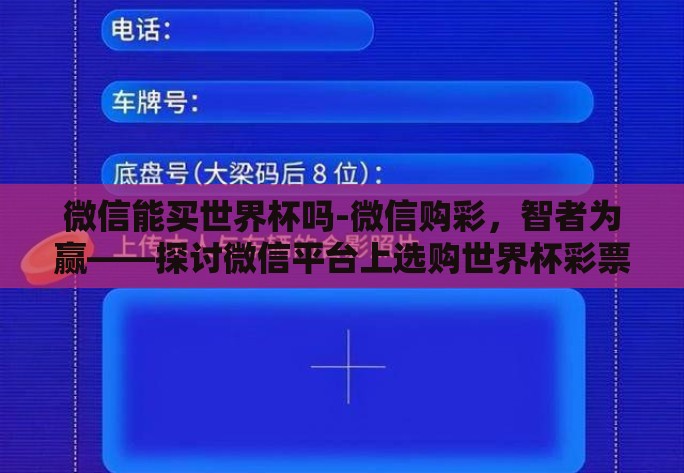 微信能买世界杯吗-微信购彩，智者为赢——探讨微信平台上选购世界杯彩票的考量与风险
