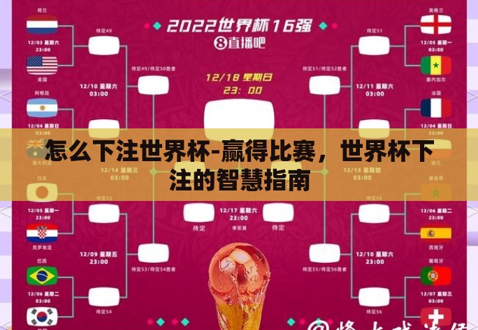 怎么下注世界杯-赢得比赛，世界杯下注的智慧指南