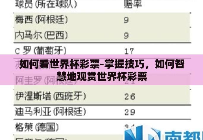 如何看世界杯彩票-掌握技巧，如何智慧地观赏世界杯彩票