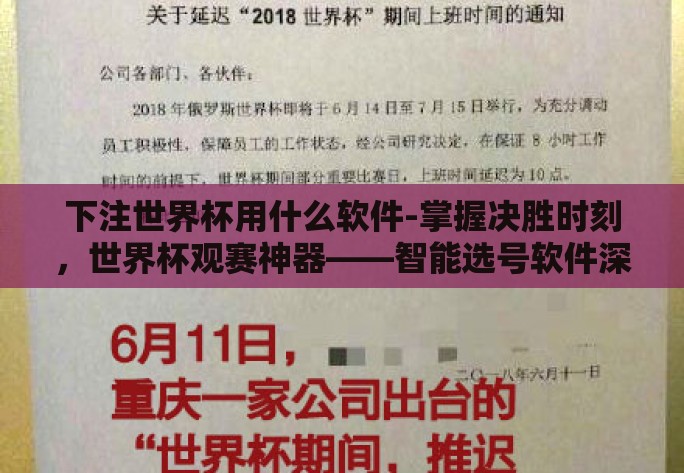 下注世界杯用什么软件-掌握决胜时刻，世界杯观赛神器——智能选号软件深度体验
