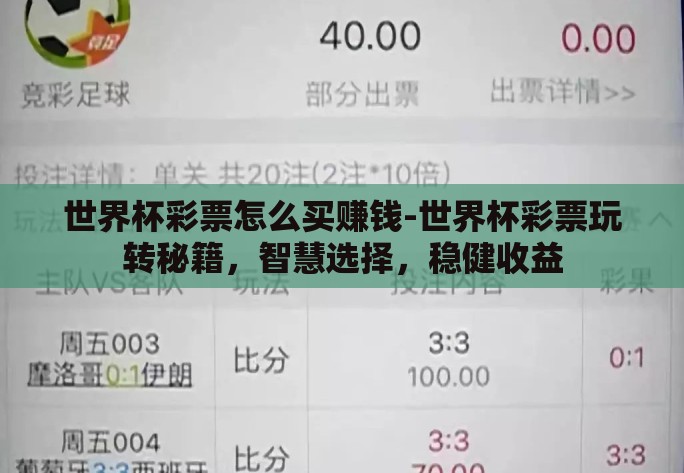 世界杯彩票怎么买赚钱-世界杯彩票玩转秘籍，智慧选择，稳健收益