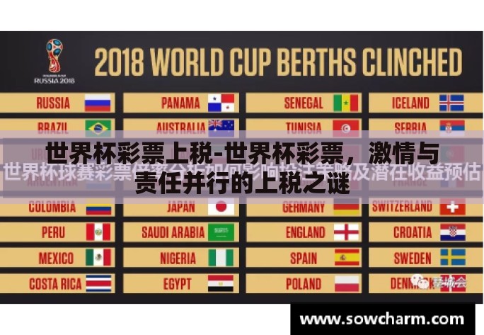 世界杯彩票上税-世界杯彩票，激情与责任并行的上税之谜
