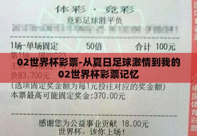 02世界杯彩票-从夏日足球激情到我的02世界杯彩票记忆