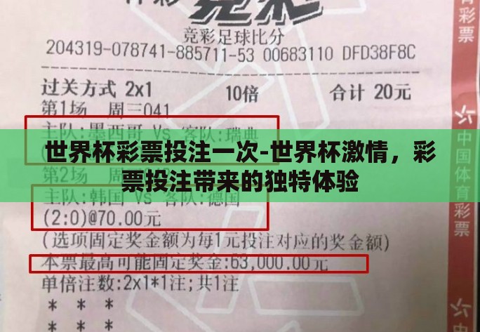 世界杯彩票投注一次-世界杯激情，彩票投注带来的独特体验