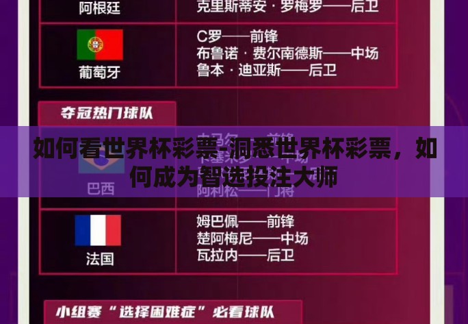如何看世界杯彩票-洞悉世界杯彩票，如何成为智选投注大师