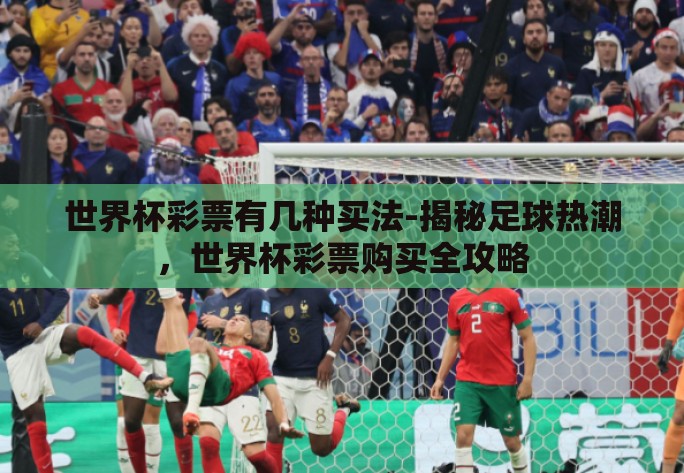 世界杯彩票有几种买法-揭秘足球热潮，世界杯彩票购买全攻略