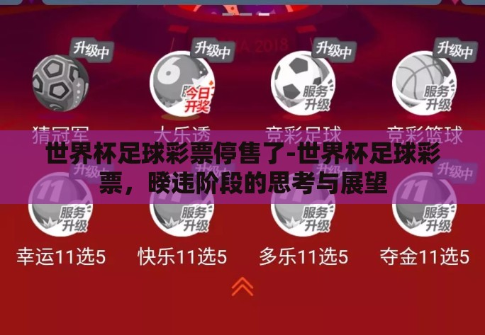世界杯足球彩票停售了-世界杯足球彩票，暌违阶段的思考与展望