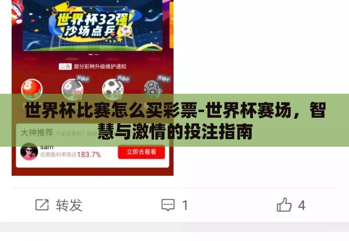 世界杯比赛怎么买彩票-世界杯赛场，智慧与激情的投注指南