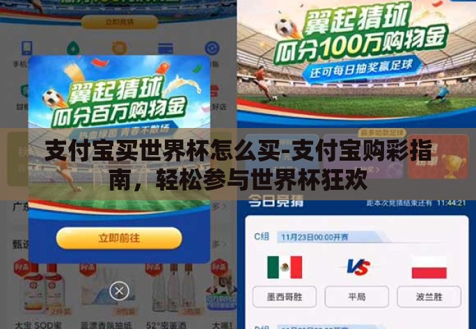 支付宝买世界杯怎么买-支付宝购彩指南，轻松参与世界杯狂欢
