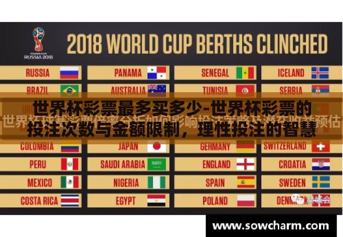 世界杯彩票最多买多少-世界杯彩票的投注次数与金额限制，理性投注的智慧