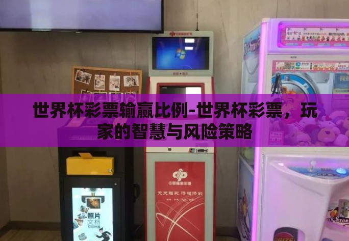 世界杯彩票输赢比例-世界杯彩票，玩家的智慧与风险策略