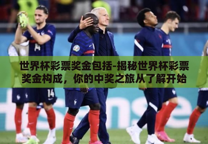 世界杯彩票奖金包括-揭秘世界杯彩票奖金构成，你的中奖之旅从了解开始