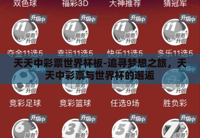 天天中彩票世界杯板-追寻梦想之旅，天天中彩票与世界杯的邂逅